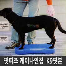 핏퍼즈 핏본 Fitpaws K9FITbone CanineGym 강아지 훈련 슬개골 탈구 예방, K9-아쿠아