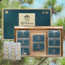 천지수 솔잎증류 농축액기스 비타민E 송침유 240캡슐, 500mg x 240캡슐