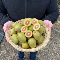 국내산 제주 제철 고당도 레드키위 홍다래 속빨간 홍키위 3kg 5kg, 레드키위 중과 5kg