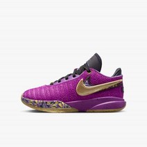 [해외]나이키 LeBron XX SE (GS) FD0207-500