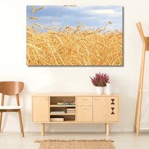 셀러허브 벼이삭 가을 와이드 풍경 사진 그림 액자 10호 53x33cm, 캔버스액자(옆면흰색)