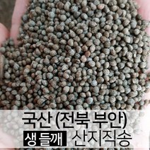 22년 11월 수확 국산 생들깨 통들깨 500g 부안 산지직송 [진도장모와 서울큰사위], 1개