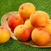 [초록자연] 황도 복숭아 4kg (17-18과) (대) 선물세트, 없음