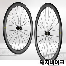 마빅 코스믹 SLR 45 디스크 휠셋 / 카본 로드 디스크 휠셋 / 이엑스오 / 돼지바이크, 캄파놀로