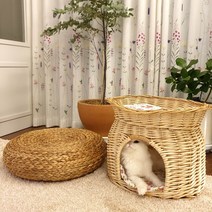 고양이 강아지 라탄하우스