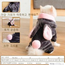 라오농 해외 강아지옷 겨울옷 조끼 패딩 애견의류 예쁜반려견옷 털뽀글이 강아지 고양이 가을 옷 두툼하게 보온 테디북 곰돌이보다 소형견 변신, 18.아기 공룡