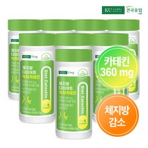 [건국유업] 체지방 다이어트 녹차카테킨 60정x8개(8개월), 단품, 단품