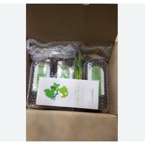 지리산 새순 솔잎 진액 3병/ 생솔잎 솔순 원액 차 유기농 설탕 발효액 1개, 기타한방재료