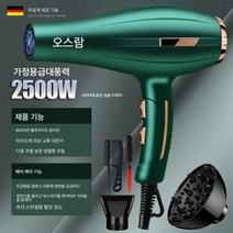 전기 헤어 드라이기 미용실 전용 고출력 이발소 3000w 가정용 음이온 헤어케어 속건 공기통, 녹색+홈헤어살롱2500W콜라겐음이온