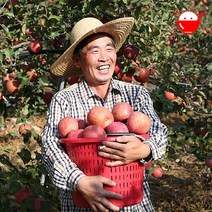 재기네농원 22년 햇 부사 안동 꿀 사과 3.7kg 5kg 10kg, 사과 5kg18과