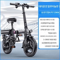 독일 최고의 접이식 전기 자전거 초경량 휴대용 전동이륜차, 알루미늄합금 30A 약 120km