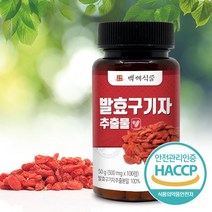발효구기자 추출물 정 500mg 100정 HACCP 인증제품, 1개, 500mg x 100정