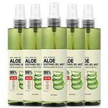 메이포레 리얼 모이스처 알로에 수딩 젤 수분 보습 진정 대용량 바디미스트 250ml x5개
