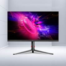 주연테크 X25F 25인치 게이밍 모니터 240Hz 0.5ms 피벗, 단일옵션