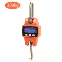 초정밀 고정밀 0.001g 실험실 전자 저울 크레인 스케일 300kg 150kg 200kg 500kg100g 1kg0.1g 2kg1g 헤비 듀티 행잉 후크 스케일 디지털 중량 도구, 협력사, 여 300kg