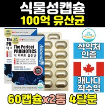 캐나다 4세대 포스트바이오틱스 100억 유산균 2통 장 프로바이오틱스 식약처인증 락토바실러스 홈쇼핑 직구 비피더스 람노서스 유익균 식물성 캡슐 프리미엄 영양제 60대 노인 명품