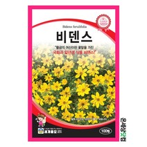 비덴스 100립 / 꽃씨 종자 화단 정원 일년생
