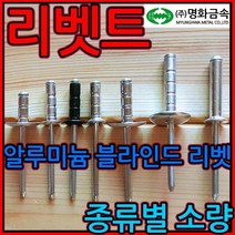 리벳/리베트/못/알루미늄/블라인드/리벳트/리벳못소량, 1-1 둥근 백색 리벳, 5.5*20mm-11개