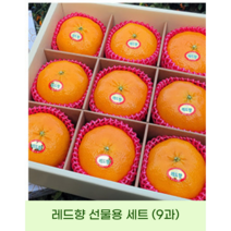 제주의 향기 고당도 레드향 3kg가정용 선물용(대표사진) 싱그러운맛 산지직송, 가정용(10~11과)