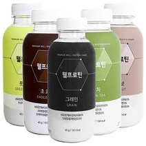 단백질쉐이크 선식 웰프로틴, 웰프로틴(초코)
