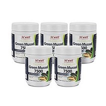 뉴질랜드 하이웰 프리미엄 초록입 홍합 7500 300캡슐 x5 초록잎홍합, 5box