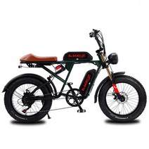 가벼운전기자전거 20 인치 전기 자전거 750W 48V 성인용 레트로 옛날 팻 타이어 오프로드 Ebike 45 KM/H 산악 전기자전거 비치, [08] Green 13AH 1500W, 한개옵션1