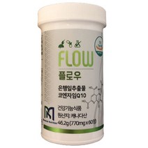 코엔자임Q10 코큐텐 유비데카레논 은행잎추출물 은행엽엑스 혈압높을때 30대 40대 50대 60대 남성 머리 뇌 혈액순환 개선제 영양제, 1개(2개월분), 60정