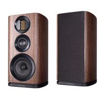와피데일 에보 EVO 4.2