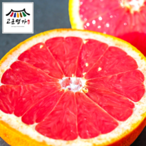 고군명가 달콤상콤 프리미엄 레드자몽 대과 10개 개당370g내외