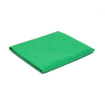 E.T.SHOP 크로마키 스크린 2m x 3m / 크로마키 배경 배경천 배경지 촬영천 인터넷방송 유튜브 촬영장비, 1개