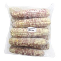 냉동점박이옥수수 10입(아이스박스포함), 벽상 1, 벽상 본상품선택