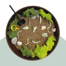 공룡뼈 화석 발굴 미니어처 스몰월드 만들기 DIY 키트 (트레이포함)