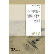 상처입은 청룡 백호 날다, 상처입은 청룡 백호 날다(한국.., 윤대성(저),평민사, 평민사