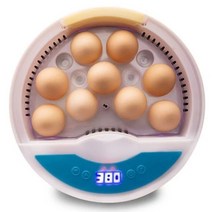 Eggs Incubator Digital Mini Automatic Hatcher Machine With Turner For Hatching Pigeon Goose Quail, 02 Silver