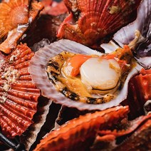 지금제철 남해바다 자연산 생물 비단가리비 산지직송, 1박스, 비단가리비 1kg