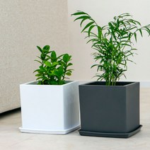 사각큐브형 플라스틱화분2호 화분+받침대 SET 3P 흰색, 쿠팡 블루스토어 본상품선택