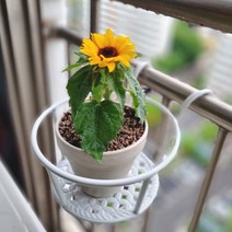 철제 베란다 원형 화분걸이 화분 진열대, 원형 화분걸이 블랙(소)