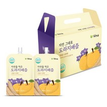 [자연식품] 자연그대로 도라지배즙 총120팩, 120팩, 1세트