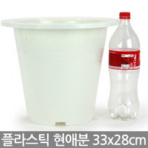 현애분 6~10호 - 화이트 플라스틱 화분 베란다화분 꽃화분 대형화분 플라스틱화분 검정화분 블랙 화이트 흰색 파란화분, 10_한성_현애분 화이트(10호)