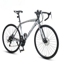 입문용픽시 가벼운 가성비 픽시바이크 하이브리드 출퇴근, 스포크휠40나이프티타늄실버