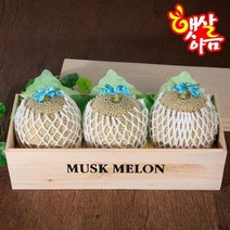 다온푸드 [햇살아름]머스크메론 오동 선물세트 1호 (5kg이상/3개), 단품없음
