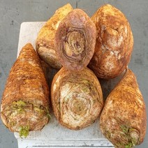 배추뿌리 배추꼬리 2kg