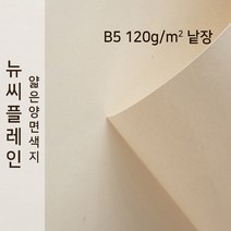 뉴씨플레인 종이문화 얇은 양면색지 120g B5 낱장 1매 No.03 아이보리, 1장