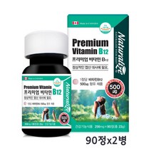 비타민b 12 영양제 식약청 인증 고농축 고함량 바이타민 B12 코발라민 엽산 대사 효능 캐나다, 2개, 90정