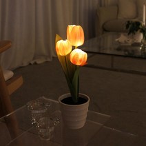 아트박스/비아케이스튜디오 후르츠 피치 베리 튤립 LED 무드등
