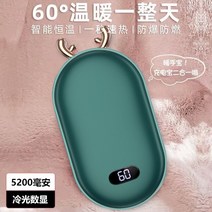 휴대용전기히터 usb충전 미니 만화 디지털 디스플레이 핸드 워머 10000 MA 투 인원 충전 히터 Usb, [01] 10000mA, [01] Digital display fund