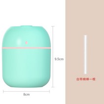 공기살균기 휴대용공기살균기 uv공기살균기 USB 220ML 휴대용 미니 가습기 아로마 디퓨저 쿨 미스트 포거, 01 Green