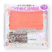 캔메이크 파우더 치크 매트 10종 PW44 PW42 PW41 PW28 PW25, -개, PW25 설탕 오렌지