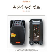 PRO-MAIN 이동식 충전 무선 앰프 MPS-110FCII 무선마이크 2개포함 버스킹 공연 행사, A. 핸드마이크 2개