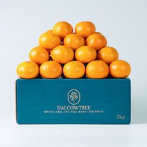 달콤트리 하우스감귤 가정용 3kg
